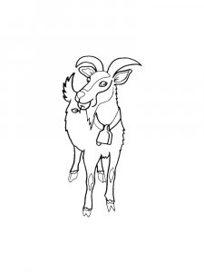 Goat Front View Coloring Page