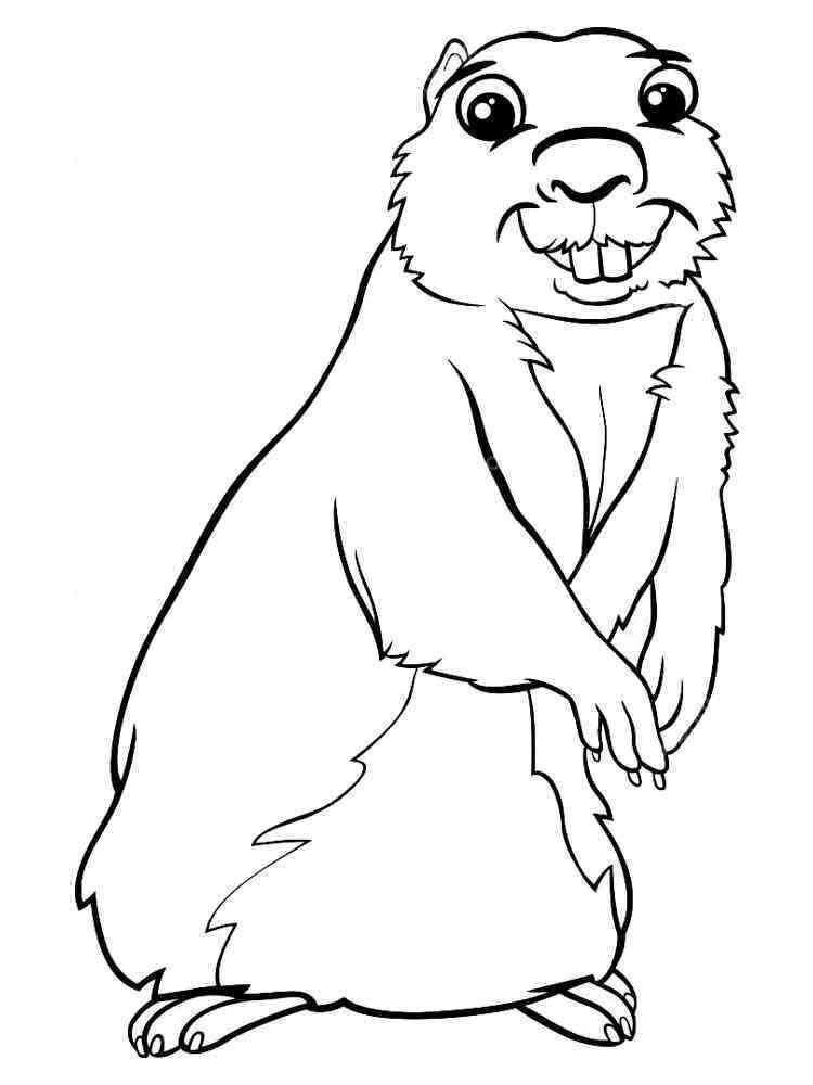 Gopher coloring pages