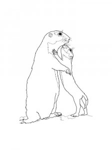 gopher coloring page - picture 10