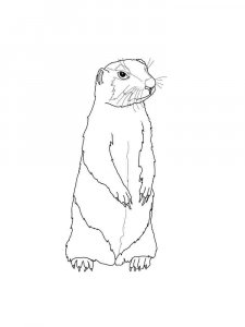 gopher coloring page - picture 11