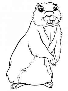gopher coloring page - picture 4