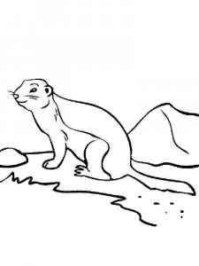 gopher coloring page - picture 5