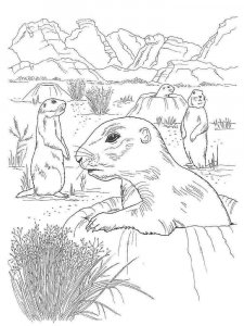 gopher coloring page - picture 8
