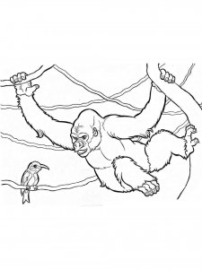 Gorilla coloring page - picture 10