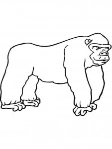 Gorilla coloring page - picture 12