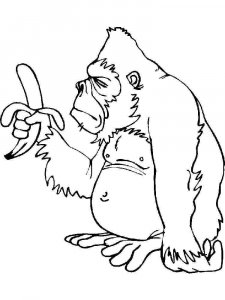 Gorilla coloring page - picture 15