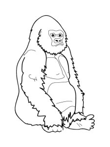 Gorilla coloring page - picture 16