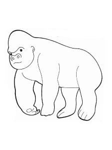 Gorilla coloring page - picture 17