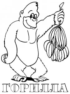 Gorilla coloring page - picture 18
