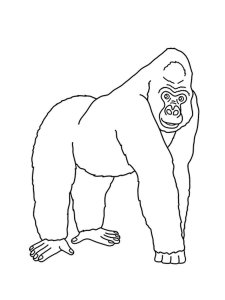 Gorilla coloring page - picture 2