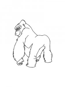 Gorilla coloring page - picture 20