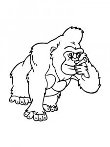 Gorilla coloring page - picture 22