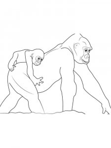 Gorilla coloring page - picture 24