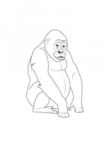 Gorilla coloring page - picture 27