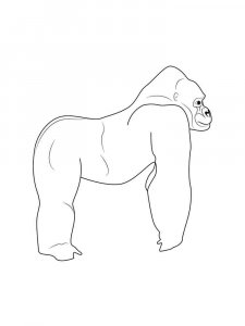 Gorilla coloring page - picture 28