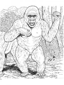 Gorilla coloring page - picture 30