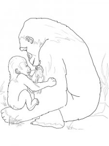 Gorilla coloring page - picture 8
