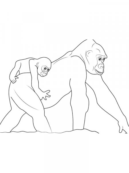 Gorilla coloring pages