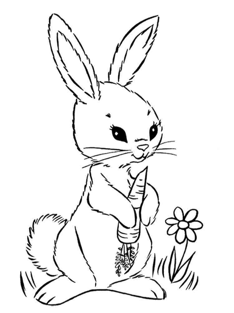 Free Hares coloring pages. Download and print Hares ...