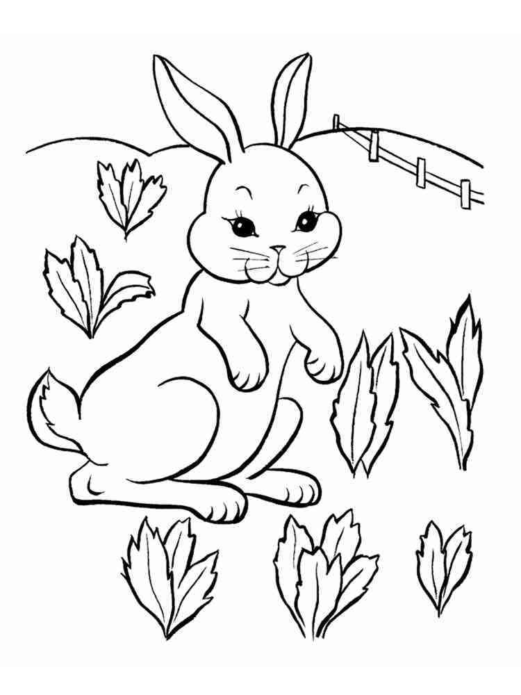 Hare coloring pages