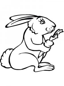 hares coloring page - picture 10