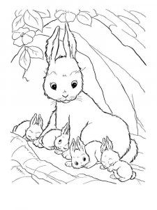 hares coloring page - picture 11