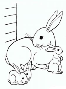hares coloring page - picture 13