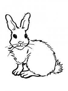 hares coloring page - picture 14
