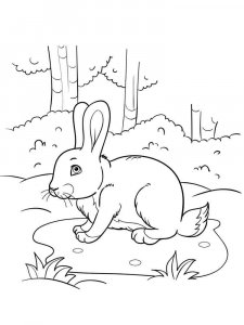 hares coloring page - picture 38
