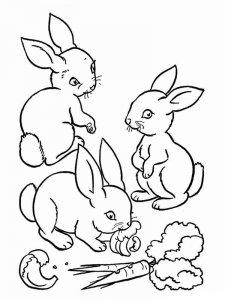 hares coloring page - picture 6