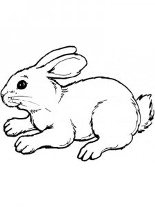 hares coloring page - picture 7