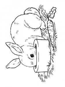 hares coloring page - picture 8