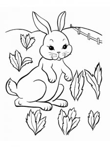 hares coloring page - picture 9