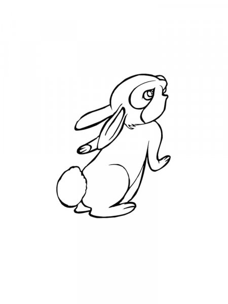 Hare coloring pages