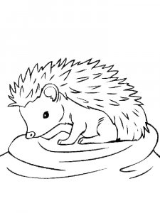 Hedgehog Coloring Pages 25
