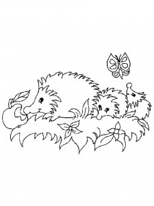 Hedgehog Coloring Pages 33