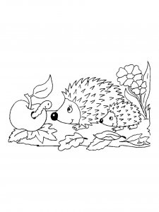 Hedgehog Coloring Pages 35