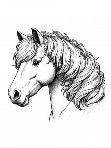 Horse Coloring Pages 38