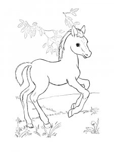 Horse Coloring Pages 46