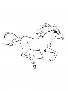 Horse Coloring Pages 55
