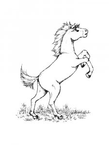 Horse Coloring Pages 57