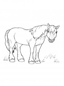Horse Coloring Pages 58