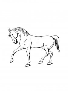 Horse Coloring Pages 60
