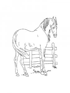 Horse Coloring Pages 61