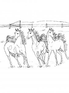 Horse Coloring Pages 65