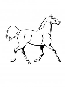 Horse Coloring Pages 67