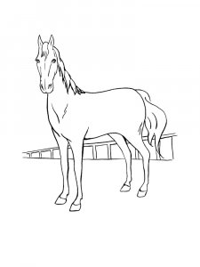 Horse Coloring Pages 70
