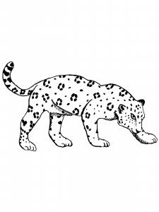 Jaguar coloring page - picture 1