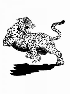Jaguar coloring page - picture 12