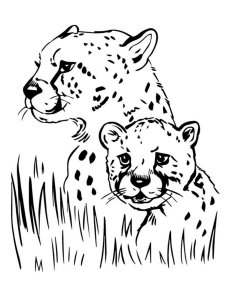 Jaguar coloring page - picture 2
